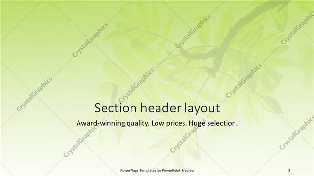 Section Header presentation slide layout