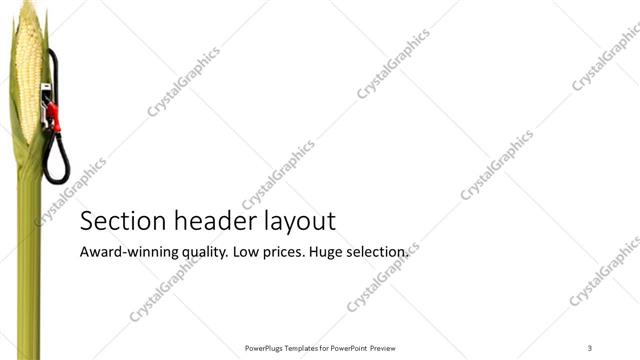 Section Header presentation slide layout