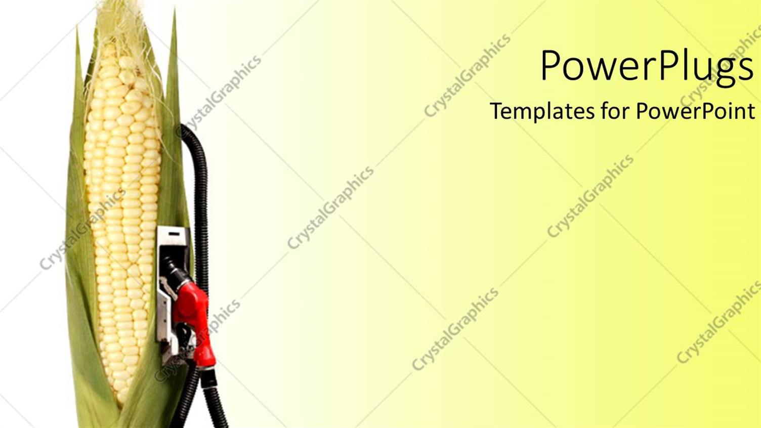 Premium Template for PowerPoint & Google Slides 