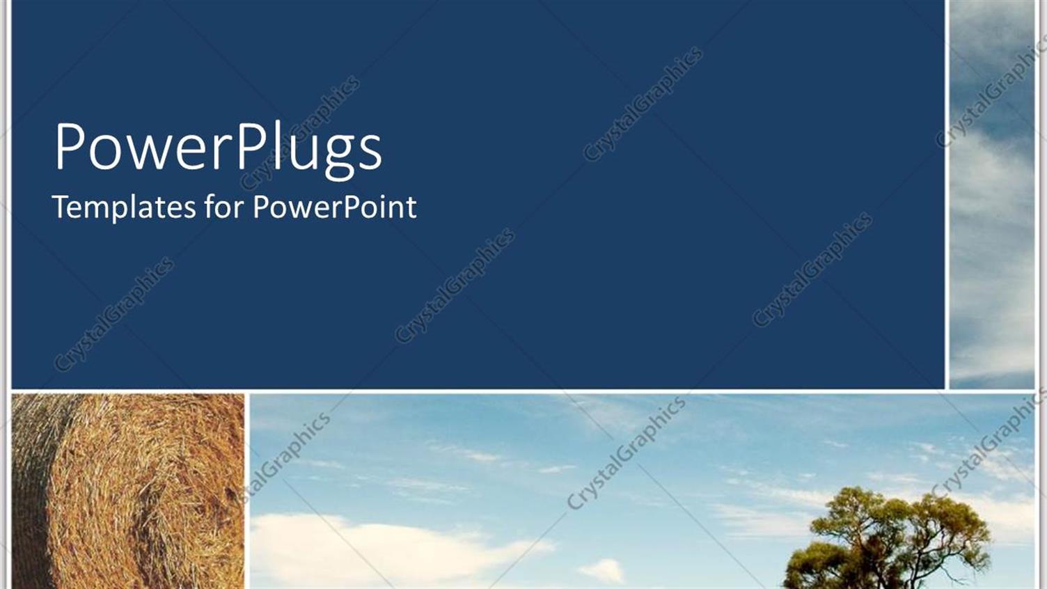 Premium Template for PowerPoint & Google Slides 