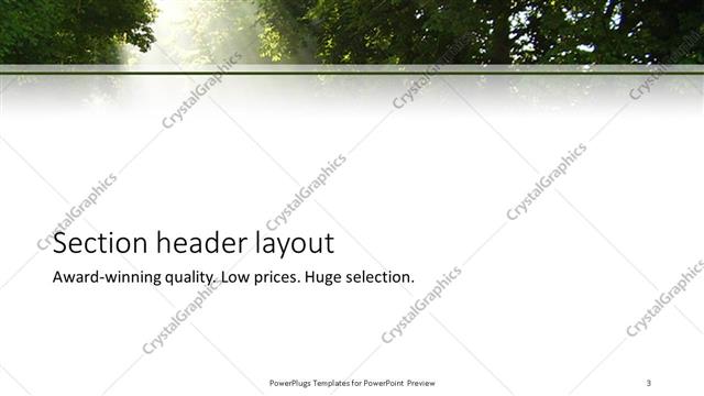Section Header presentation slide layout