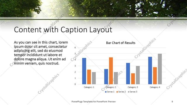 Content with Caption presentation slide layout