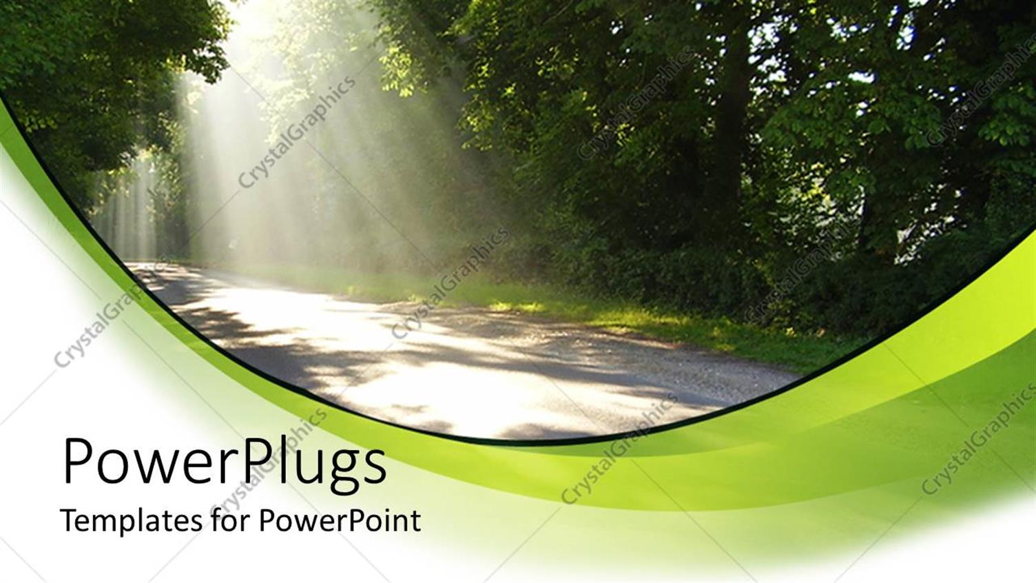 Premium Template for PowerPoint & Google Slides 