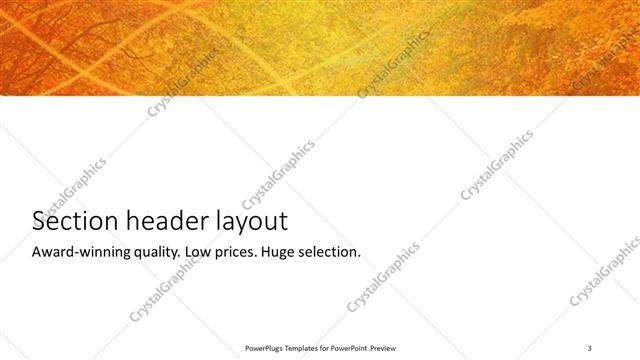 Section Header presentation slide layout