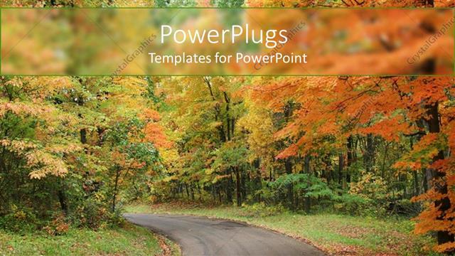  Presentation with road - Country road leading through forest with trees and grass in autumn scenery