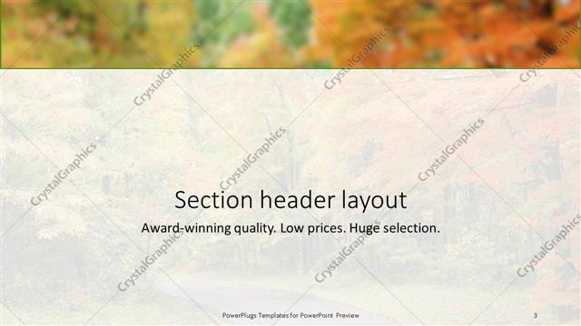 Section Header presentation slide layout