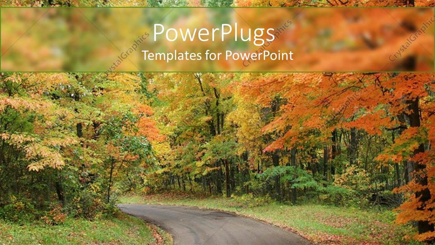 Premium Template for PowerPoint & Google Slides 