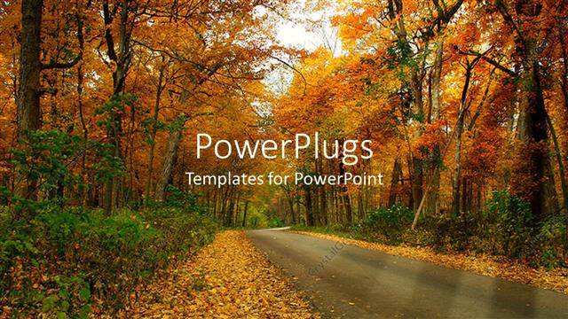  Presentation with forest - Country road through forest trees in autumn setting with fall leaves on the ground