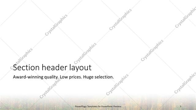 Section Header presentation slide layout