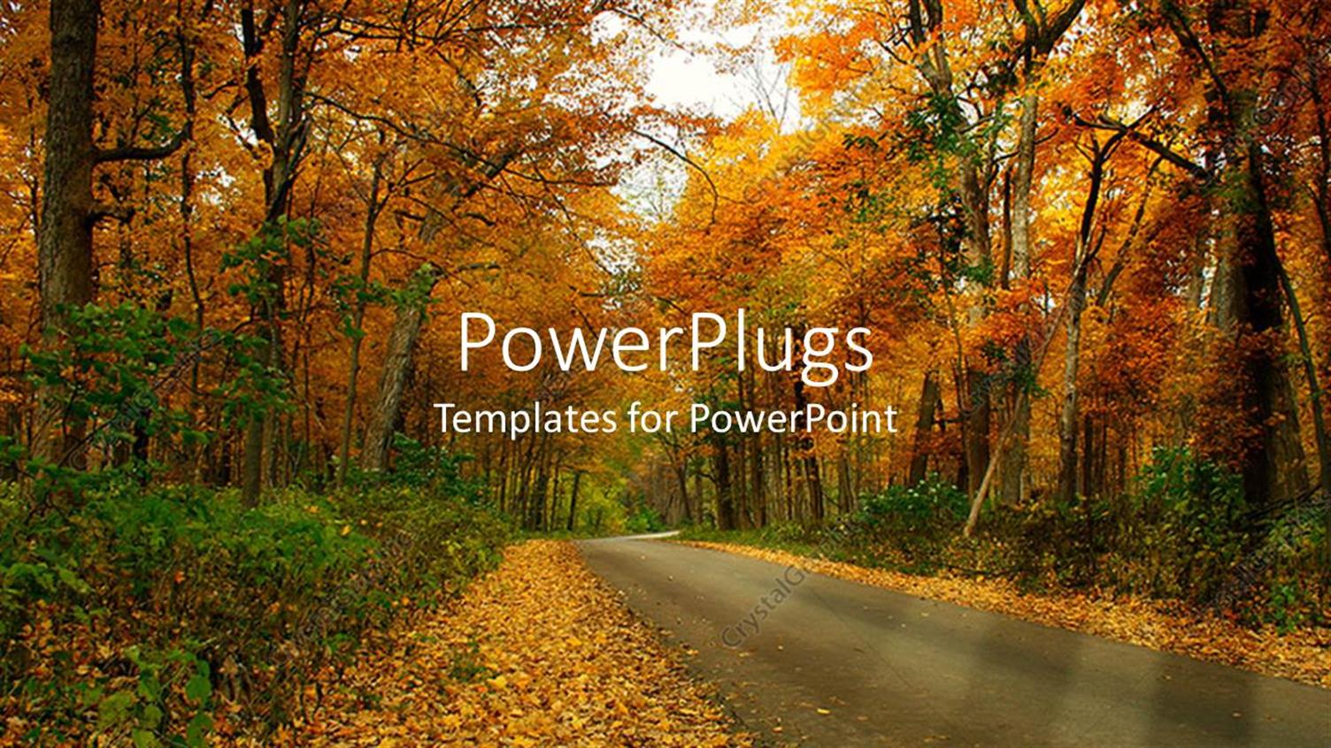 Premium Template for PowerPoint & Google Slides 