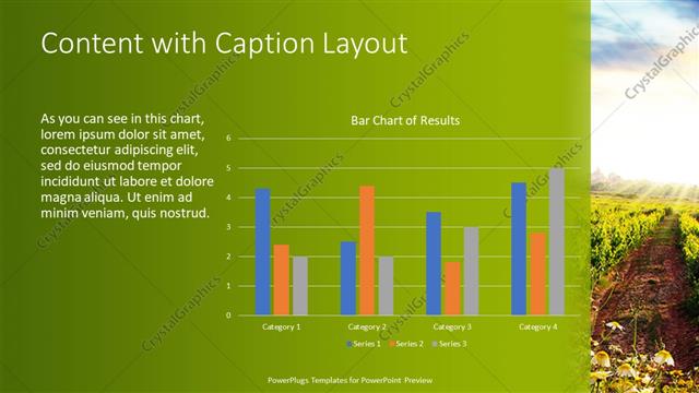 Content with Caption presentation slide layout