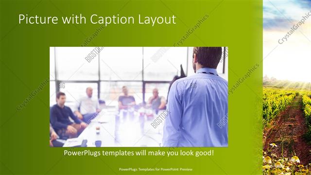 Picture with Caption presentation slide layout