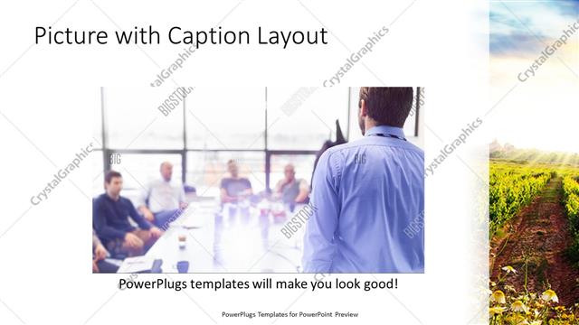 Picture with Caption presentation slide layout