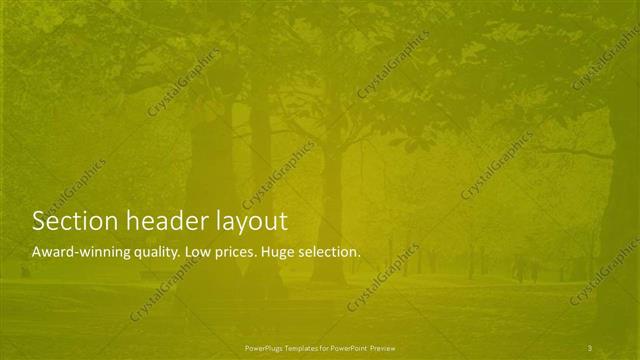 Section Header presentation slide layout