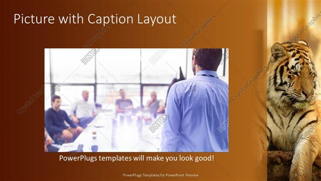 Picture with Caption presentation slide layout