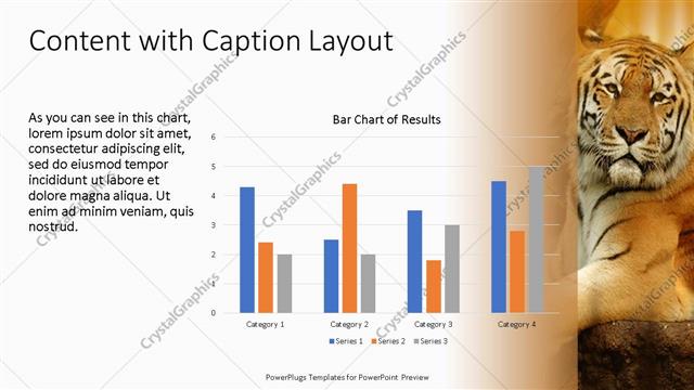Content with Caption presentation slide layout