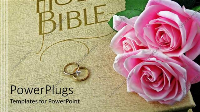  Presentation with pink wedding - Cream colored Holy Bible with two wedding rings and pink roses