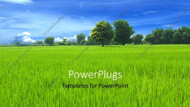  Presentation with trees - A crop with a number of trees in the background