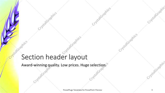 Section Header presentation slide layout