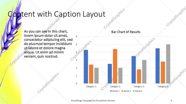 Content with Caption presentation slide layout
