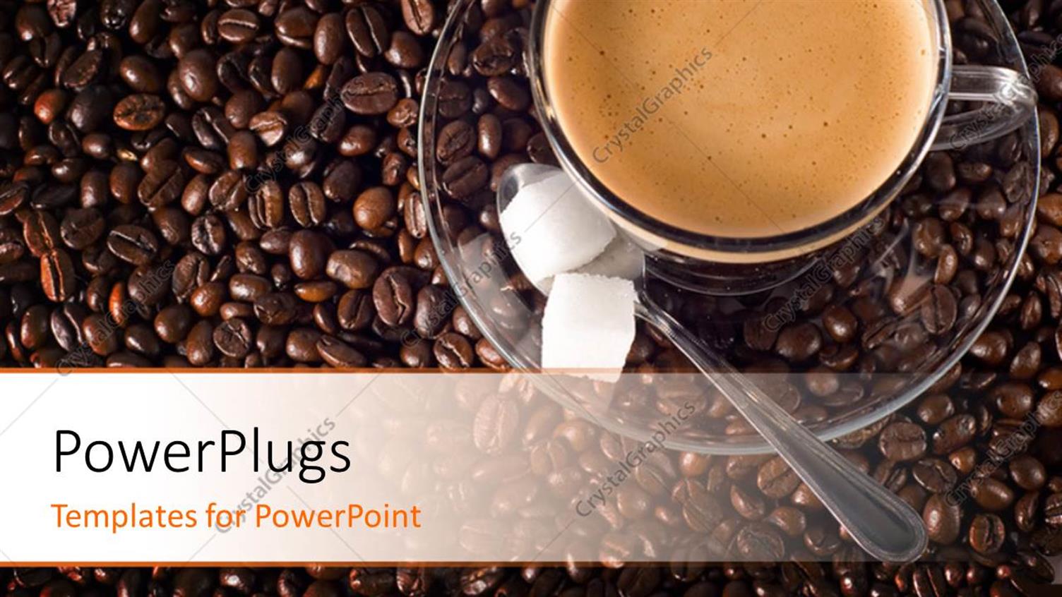 Premium Template for PowerPoint & Google Slides 