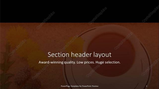 Section Header presentation slide layout