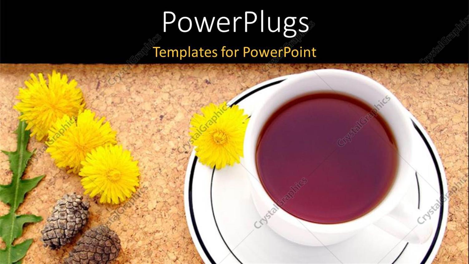 Premium Template for PowerPoint & Google Slides 