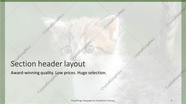Section Header presentation slide layout