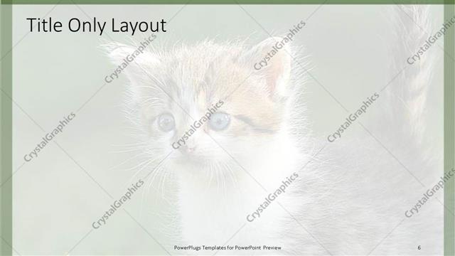 Title Only presentation slide layout