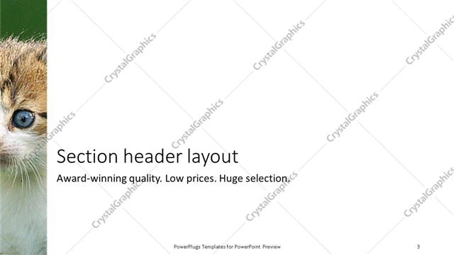 Section Header presentation slide layout