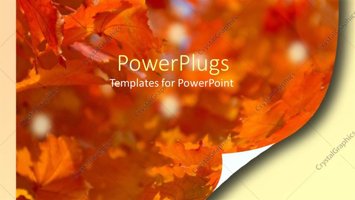 Featuring Curled Corner of Page Depicting Autumn Leaves