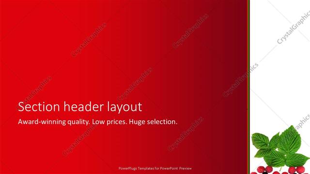 Section Header presentation slide layout