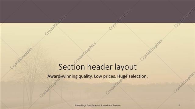 Section Header presentation slide layout