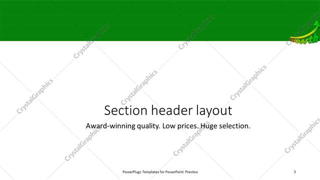 Section Header presentation slide layout