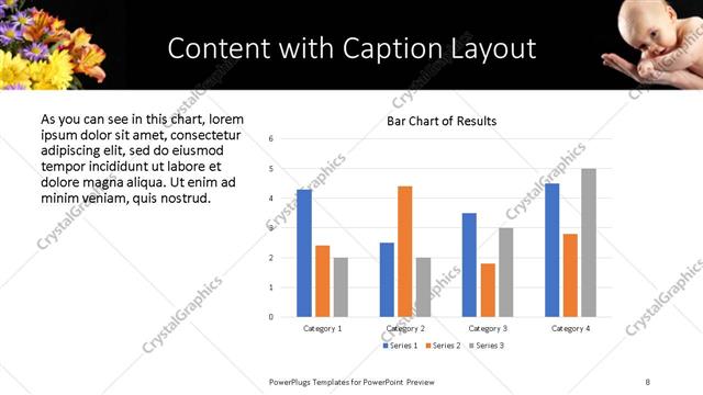 Content with Caption presentation slide layout