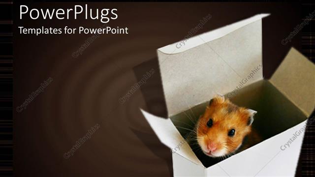  Presentation with ripple - Cute hamster peeking out of white box, ripple background
