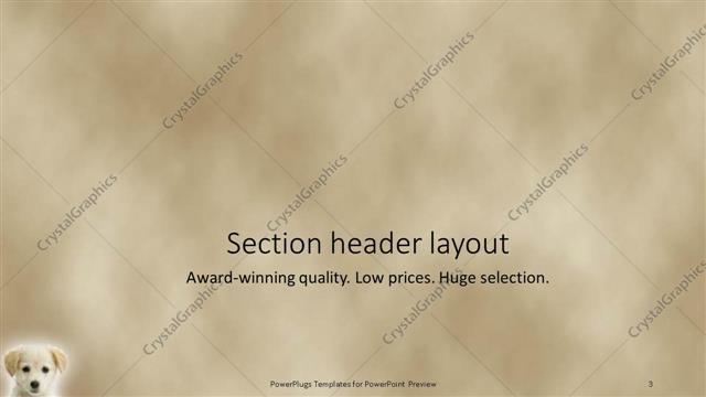 Section Header presentation slide layout