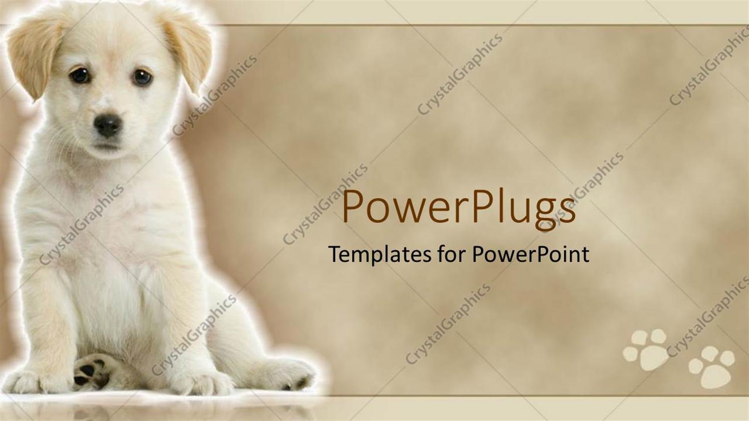 Premium Template for PowerPoint & Google Slides 