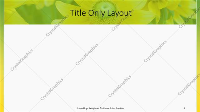 Title Only presentation slide layout