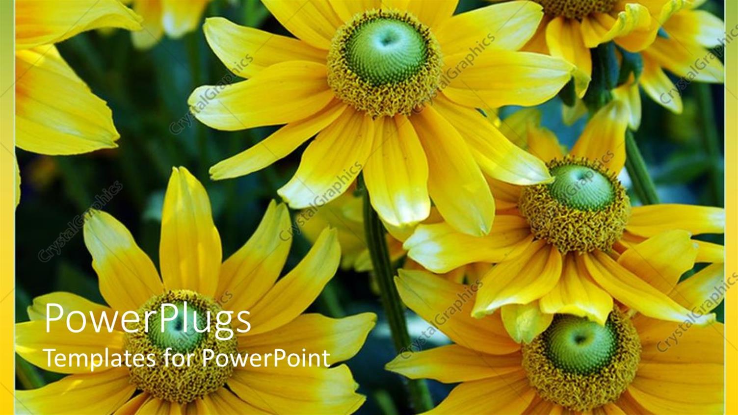 Premium Template for PowerPoint & Google Slides 