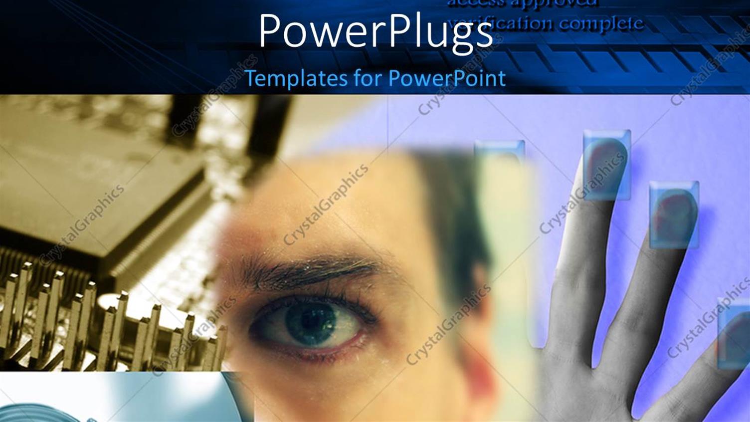 Premium Template for PowerPoint & Google Slides 