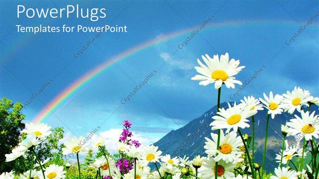  Presentation with blue mountain - Daisies and flowers growing in meadow with rainbow in blue sky and mountain background, nature
