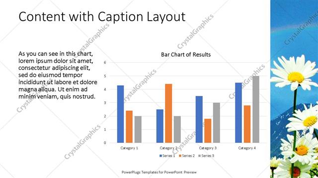 Content with Caption presentation slide layout