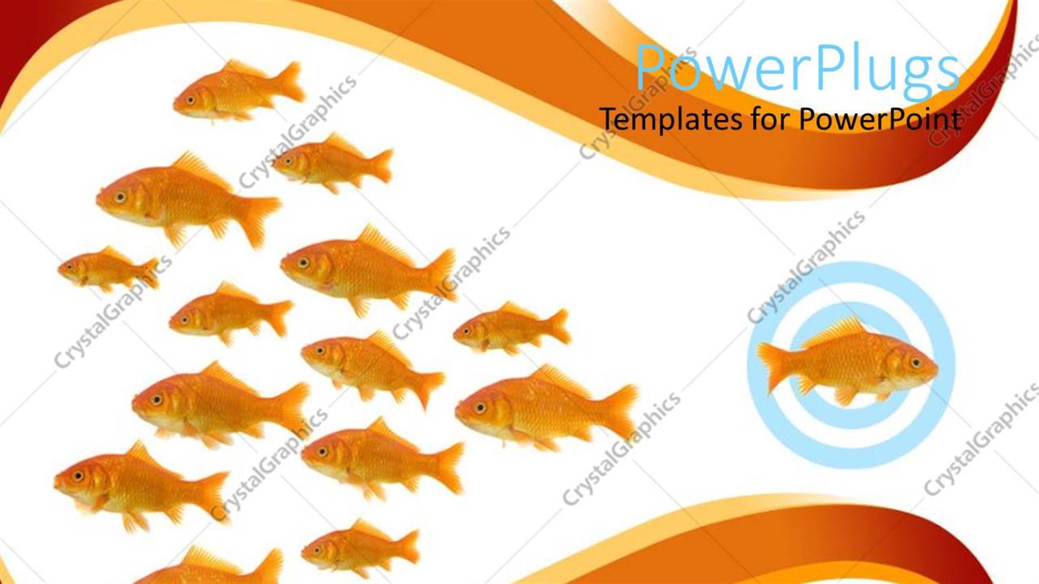 Premium Template for PowerPoint & Google Slides 