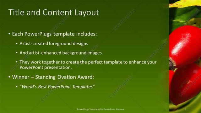 Title and Content presentation slide layout