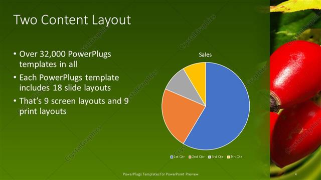 Two Content presentation slide layout