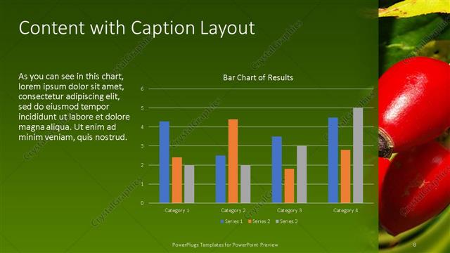Content with Caption presentation slide layout