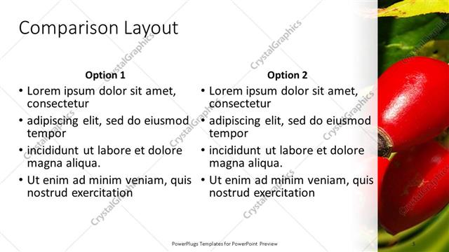 Comparison presentation slide layout