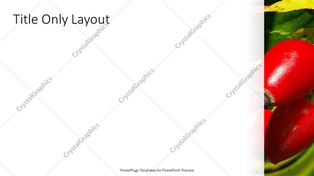 Title Only presentation slide layout