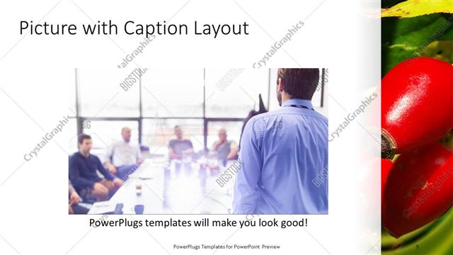 Picture with Caption presentation slide layout